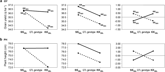 Figure 3.—