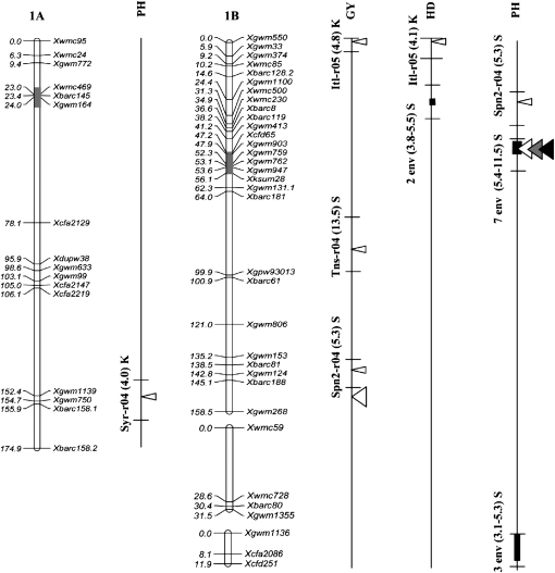 Figure 2.—