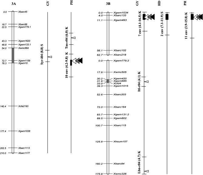 Figure 2.—