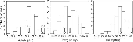 Figure 1.—