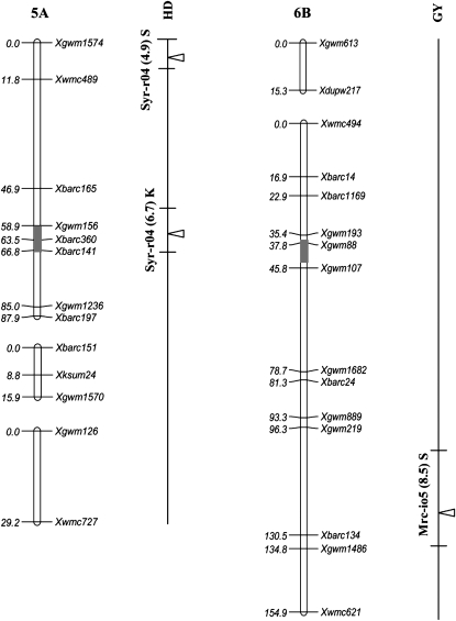 Figure 2.—