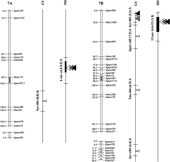 Figure 2.—