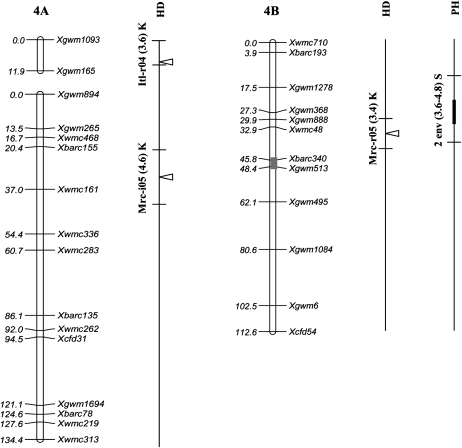 Figure 2.—