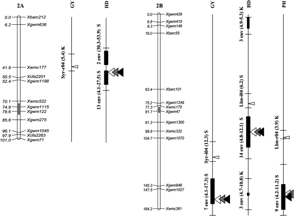 Figure 2.—