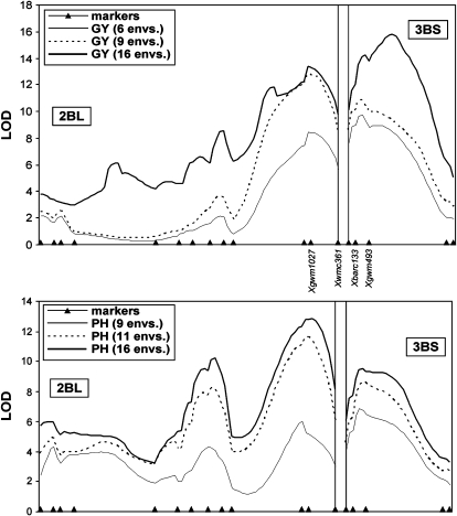 Figure 4.—