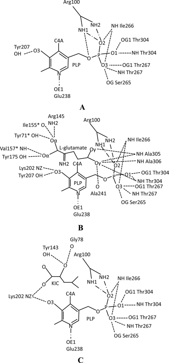 Fig 6