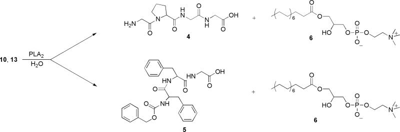 Scheme 2