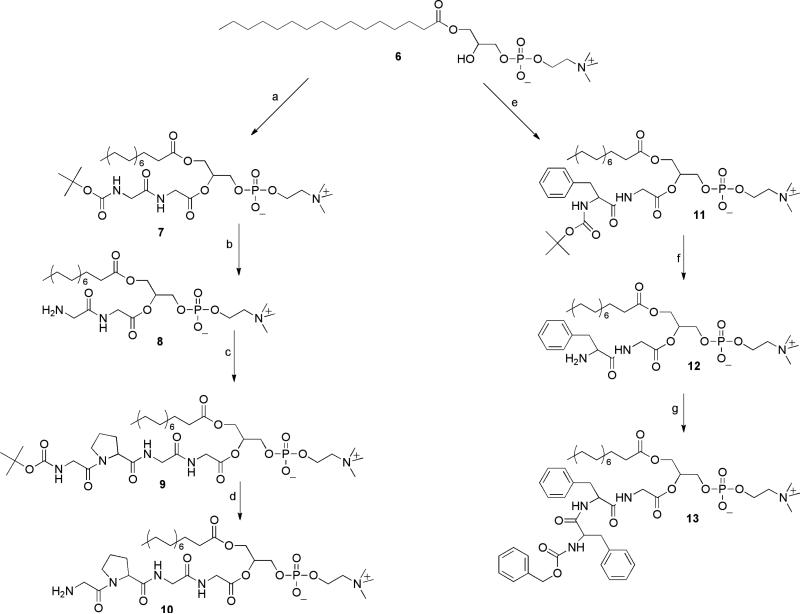 Scheme 1