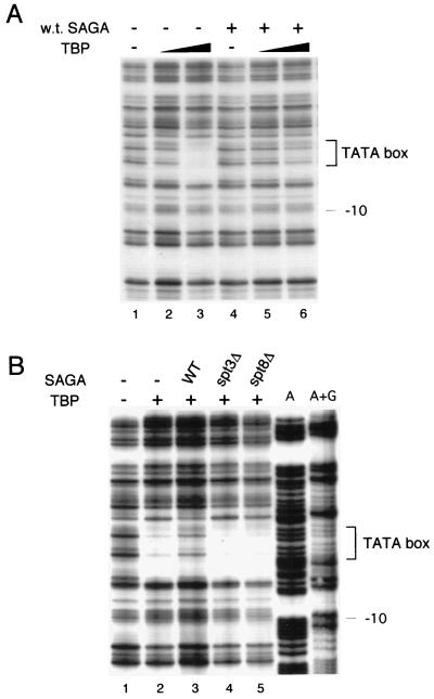 FIG. 5