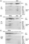 FIG. 7