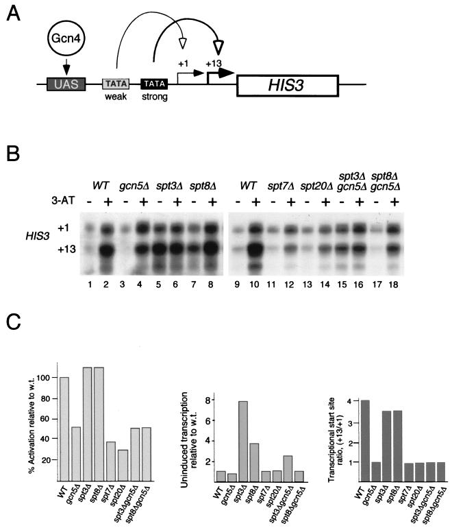 FIG. 1