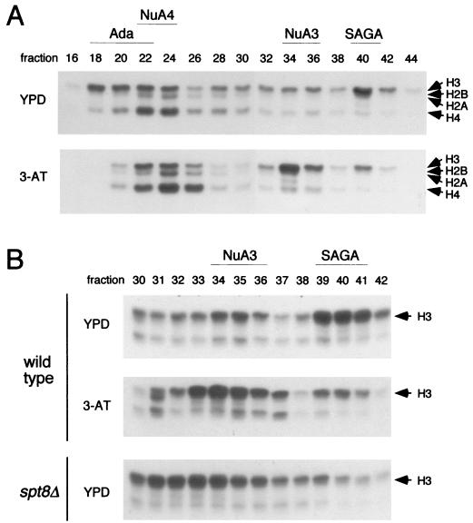 FIG. 6