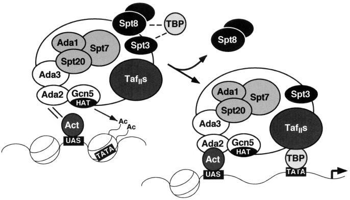 FIG. 10