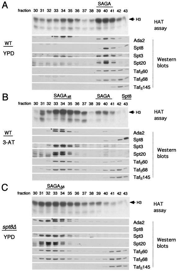 FIG. 7