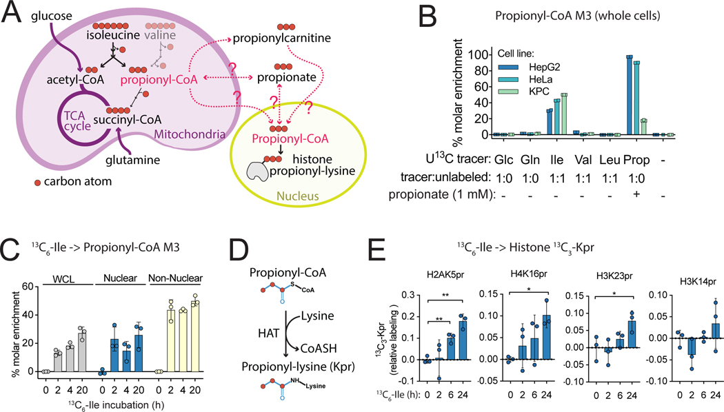 Figure 6: