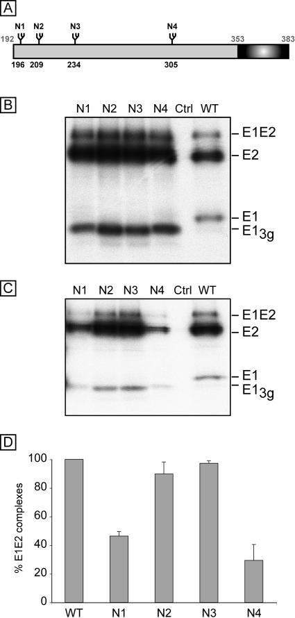 FIG. 1.