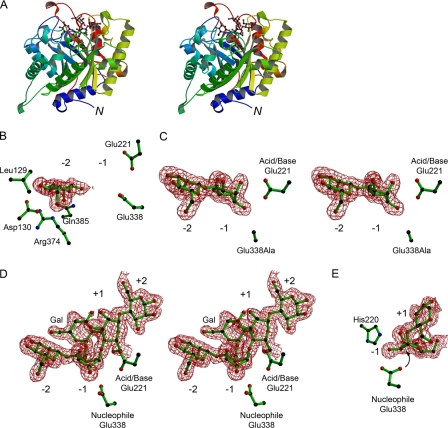 FIGURE 2.