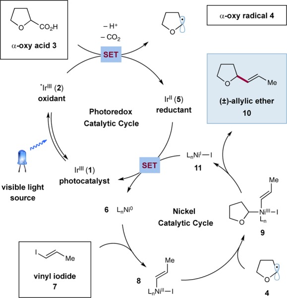 Scheme 1