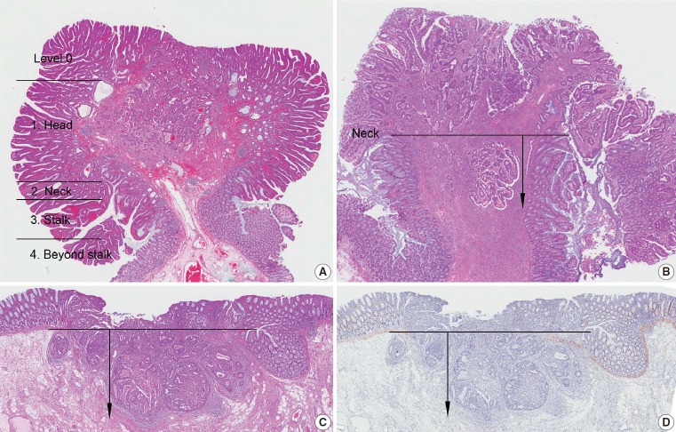 Fig. 2.