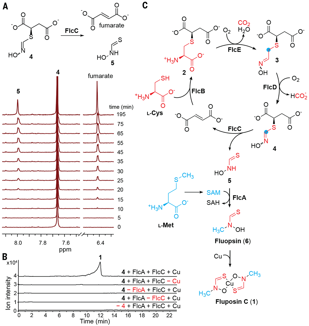 Fig. 4.