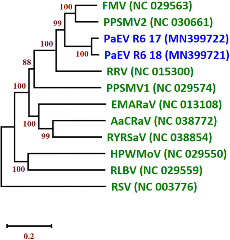 FIGURE 4