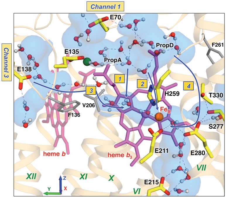 Figure 7