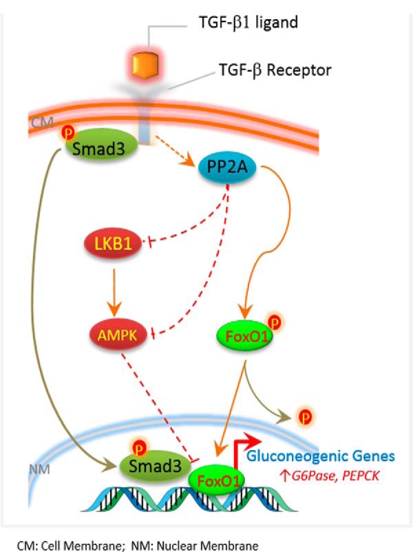 FIGURE 10.