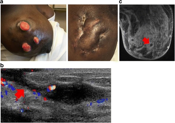 Fig. 7