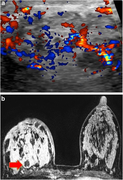 Fig. 8