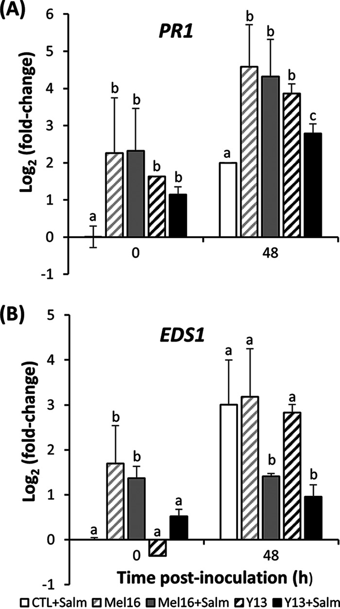 FIG 6