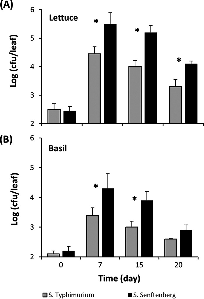 FIG 1