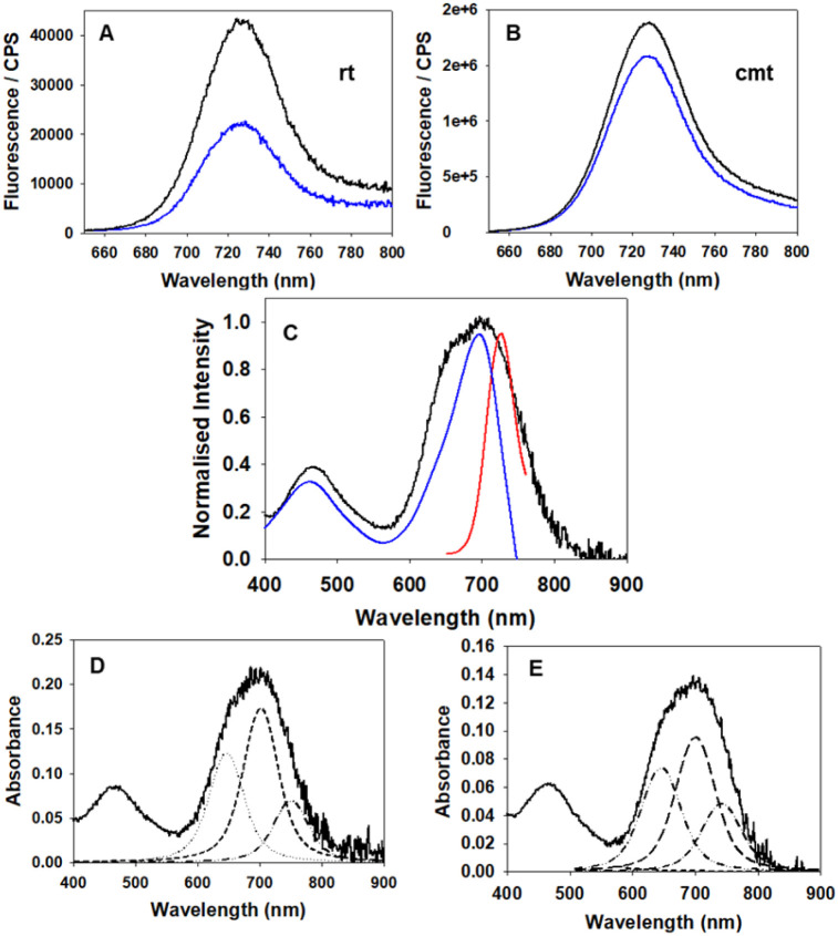 Fig. 13