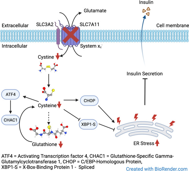 graphic file with name 125_2023_5993_Figa_HTML.jpg