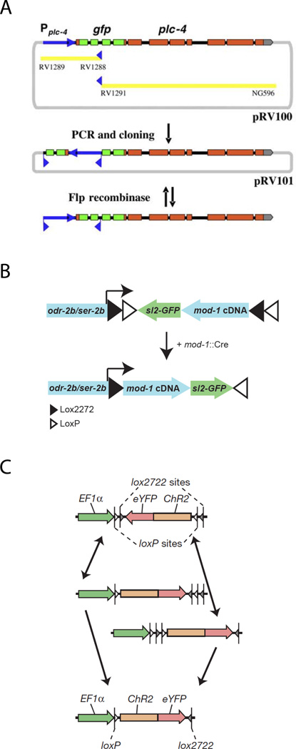 Figure 3