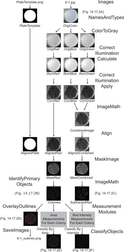 Figure 14.17.1