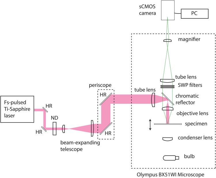 Fig 1