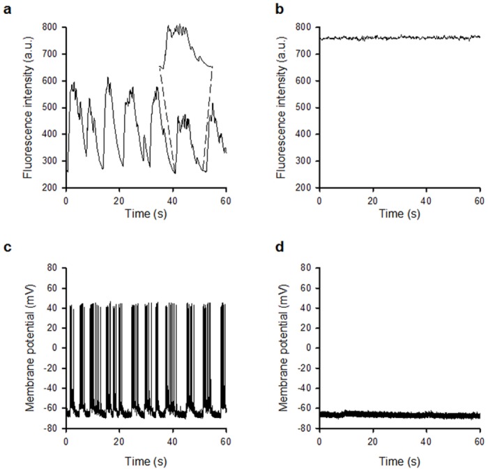 Fig 6