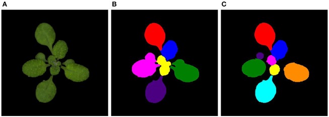 Figure 5