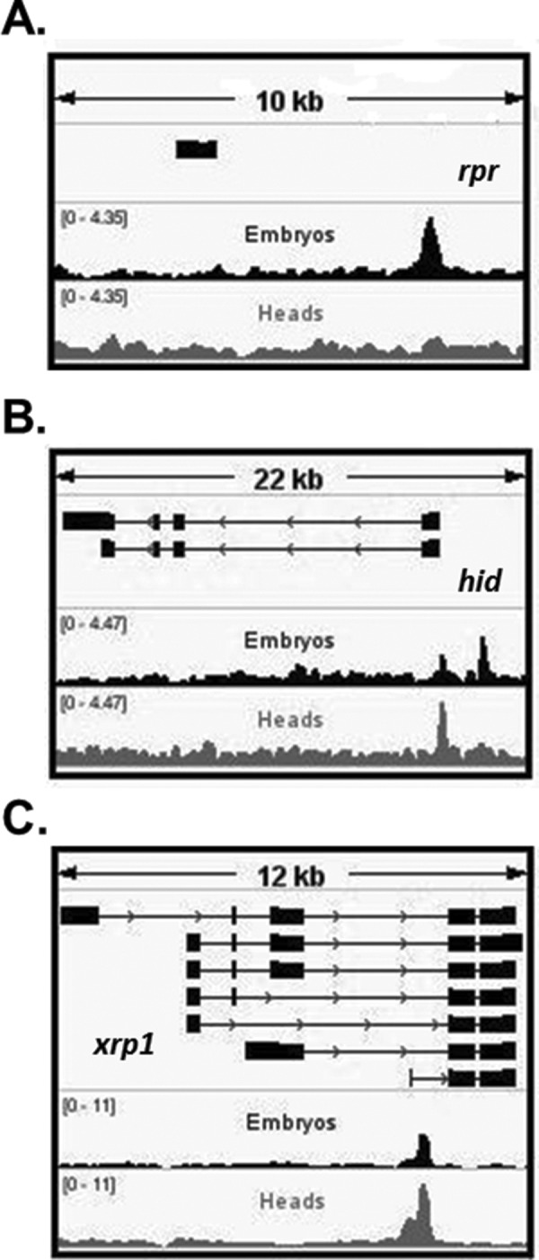 FIGURE 4: