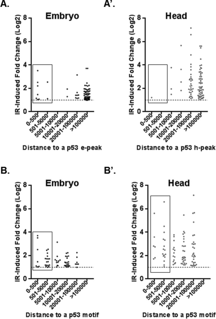 FIGURE 6: