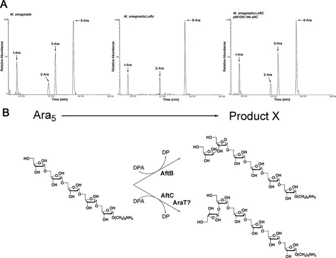 Fig. 9