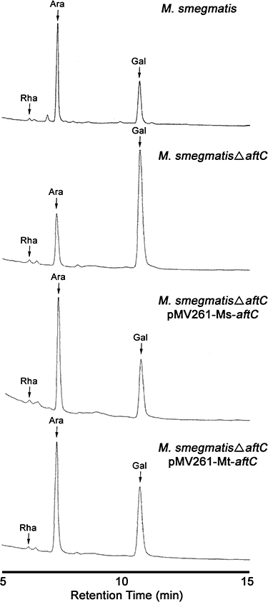 Fig. 5