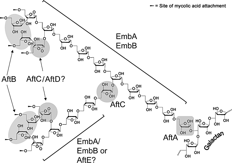 Fig. 10