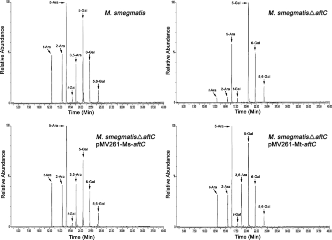 Fig. 6