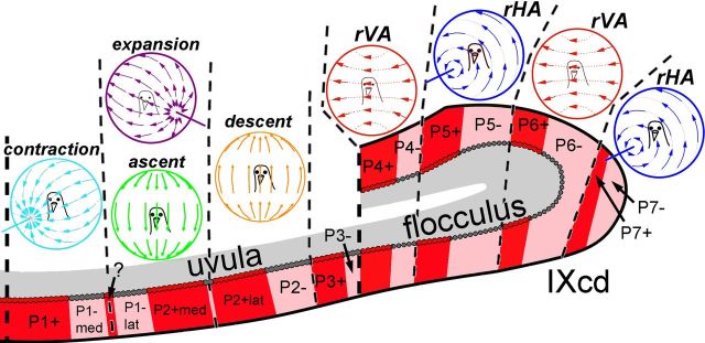 Figure 7.