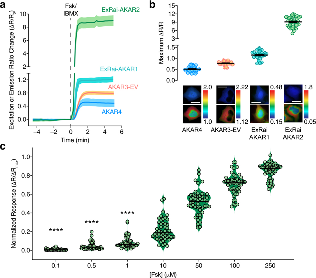 Extended Data Fig. 2 |