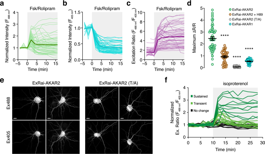 Extended Data Fig. 6 |