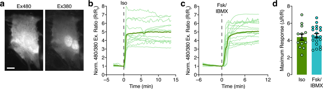 Extended Data Fig. 5 |