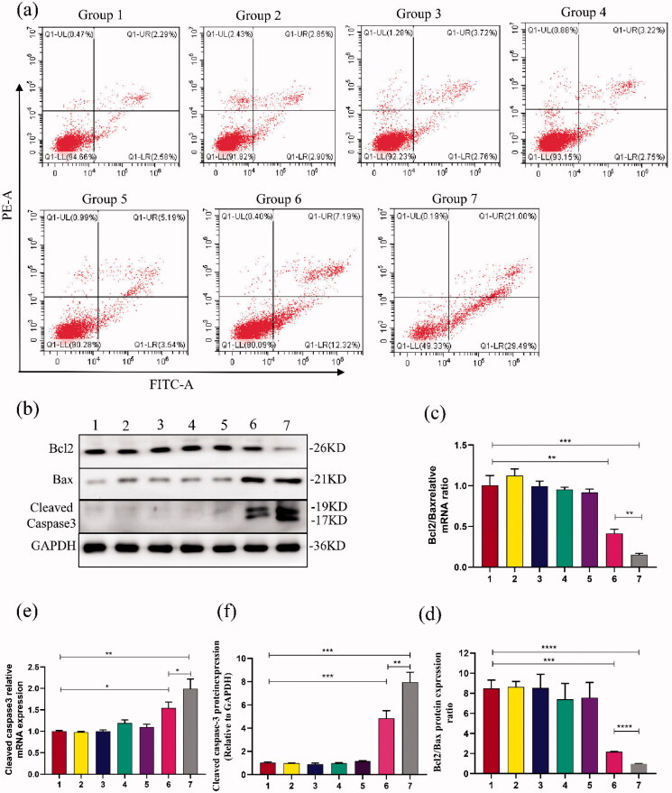 Figure 6.