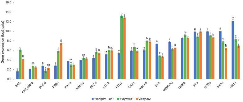 Figure 2